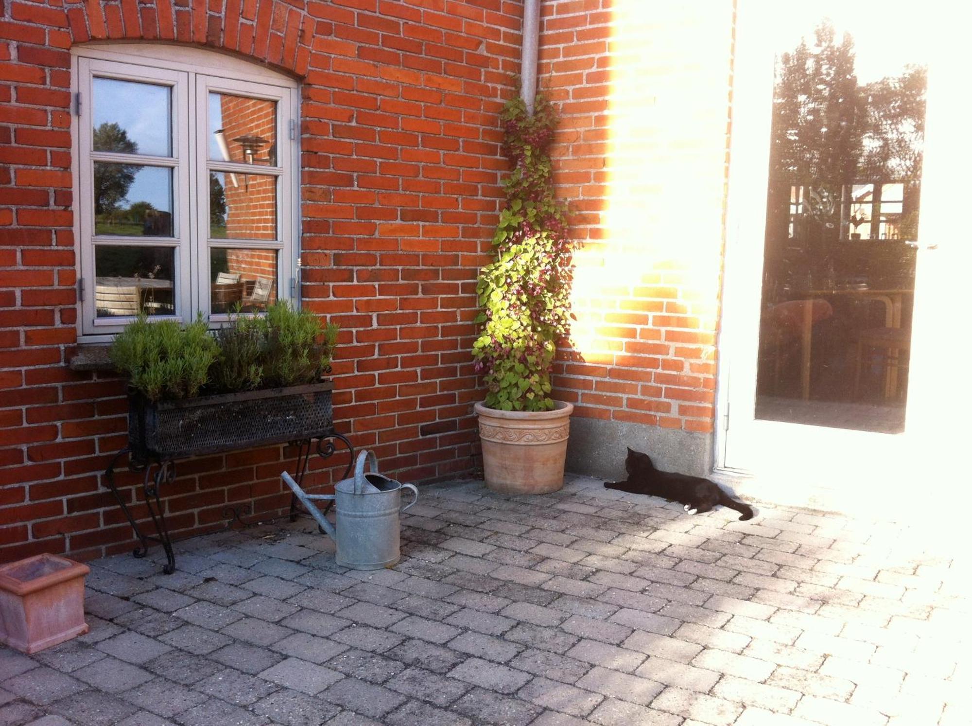Lundsgaard Bed & Breakfast Fåborg Exterior foto